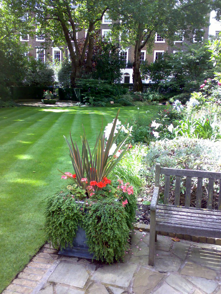 Office staff garden courtyard with table chairs and modern furnishings and clipped bay trees and large umbrella canopies
